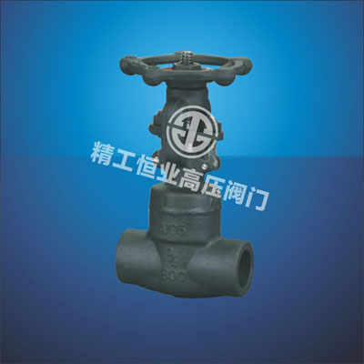 �͸������ơ��в庸բ��