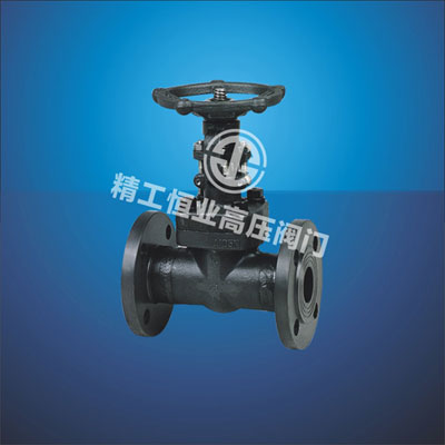 ����͸ַ���բ��