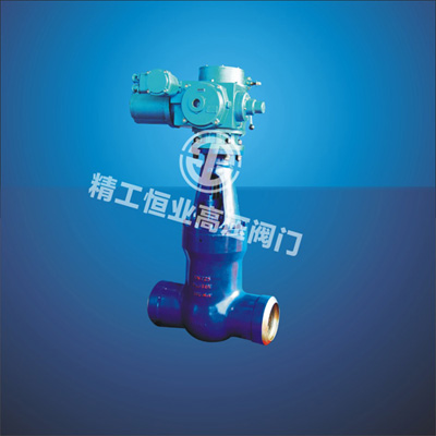 ������վբ��